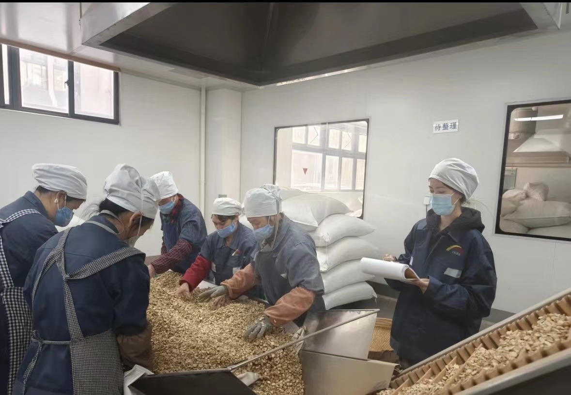 Qingdao Biohoer Biotech Co., Ltd. secara rasmi memulakan pembinaan