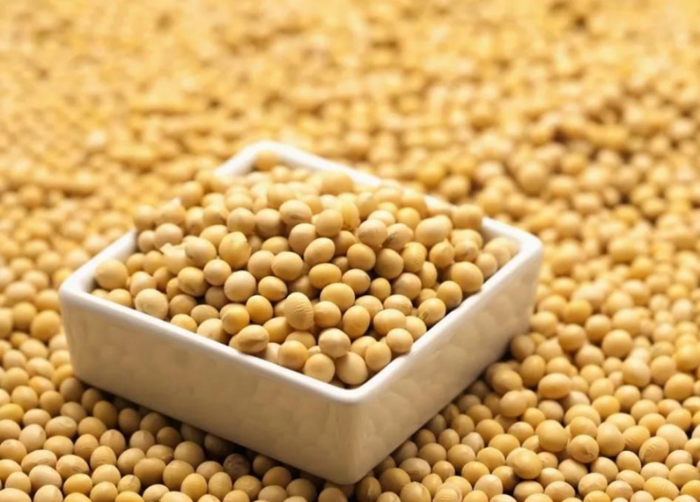 Apakah manfaat sooflavones soya?