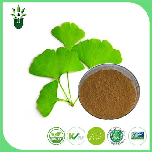 Apakah gejala yang boleh ekstrak daun ginkgo biloba digunakan untuk mengurangkan?
