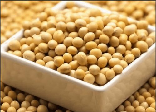 Apakah manfaat sooflavones soya?