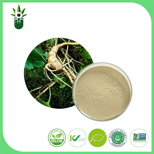 Ekstrak Ginseng