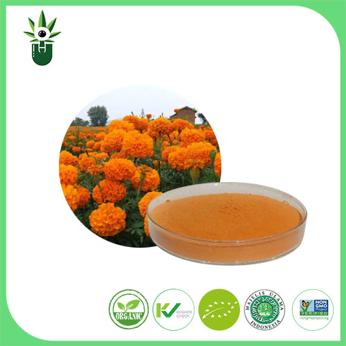 Ekstrak Marigold