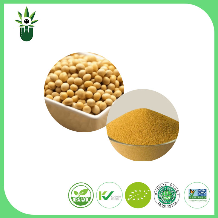 Serbuk ekstrak kacang soya bukan GMO 90% isoflavon soya